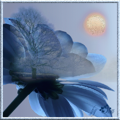 Sisu: Energie cosmiche